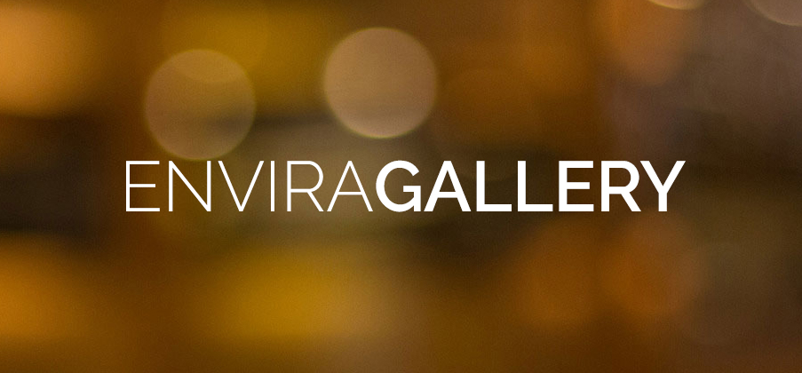 1637248336 Mit Envira Gallery Galerien zu WordPress hinzufuegen