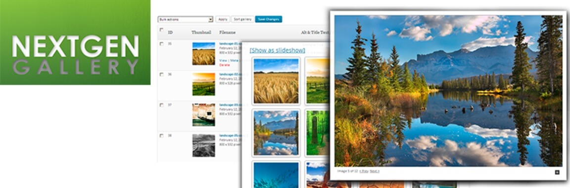 Das NextGEN Gallery-Plugin