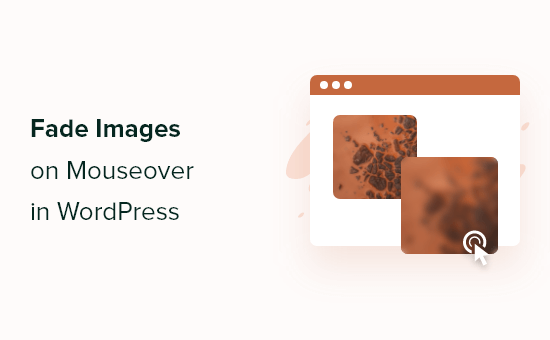 Wie man Bilder bei Mouseover in WordPress ausblendet