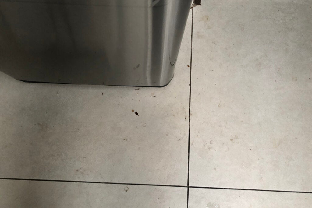 Beldray Clean & Dry verschmutzt um den Mülleimer
