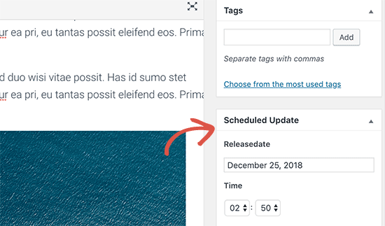 contentschedule-classiceditor - Themelocal 1638620673 484 So planen Sie Inhaltsaktualisierungen in WordPress automatisch