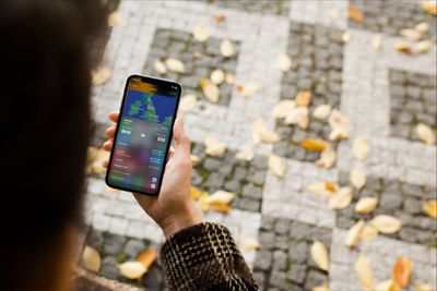 Überprüfung des Flug-iPhones