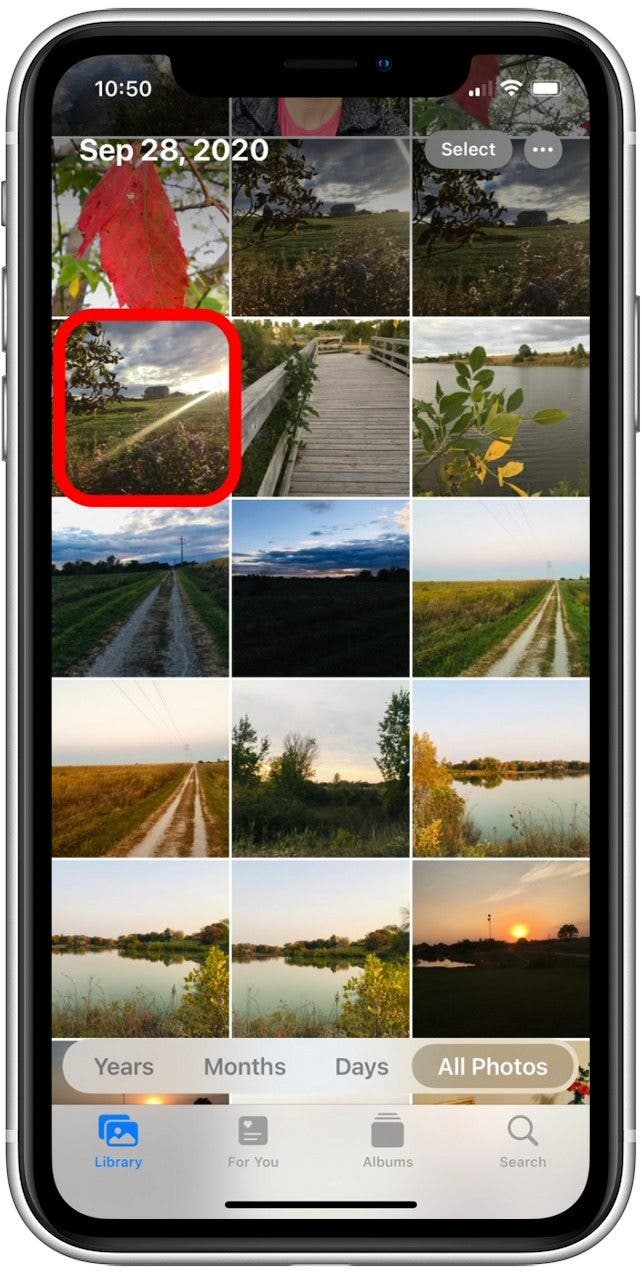 1641539326 353 So verwenden Sie Filter in der iPhone Fotos App iOS 15 Update