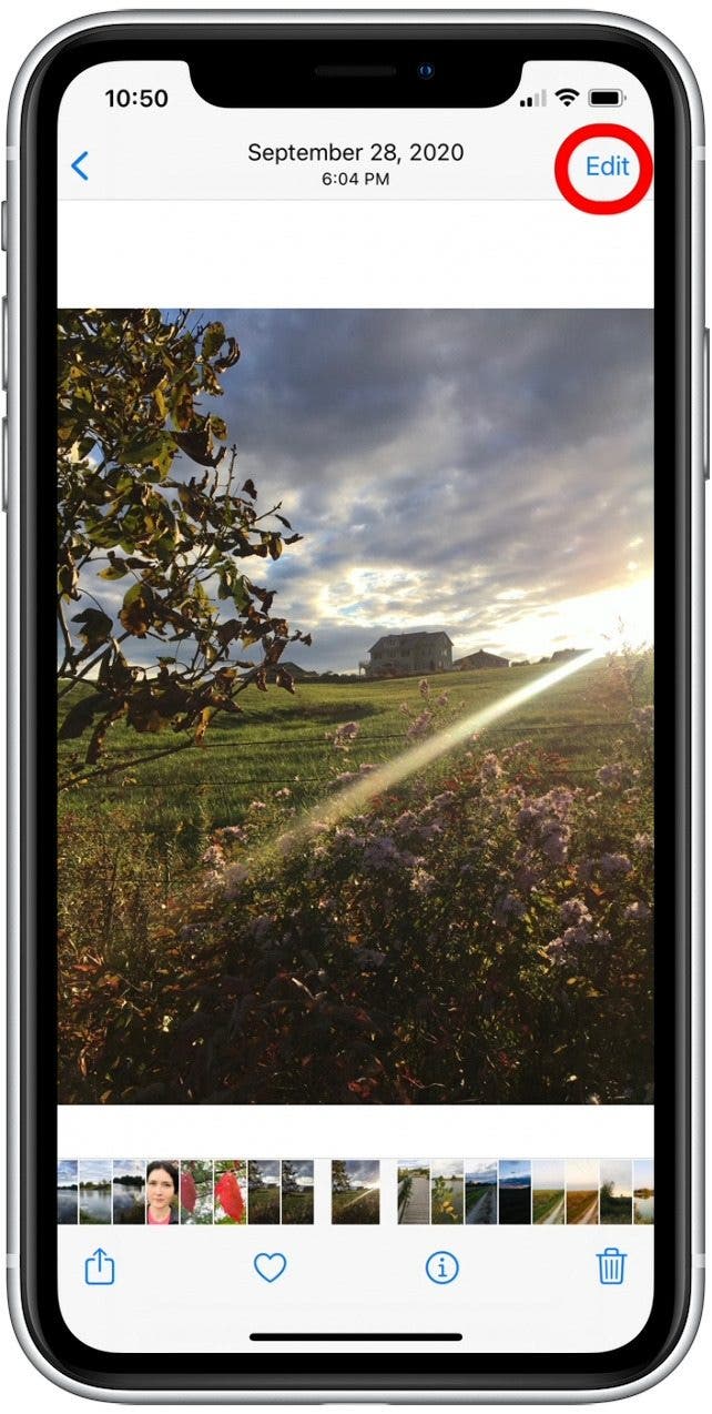 1641539326 457 So verwenden Sie Filter in der iPhone Fotos App iOS 15 Update