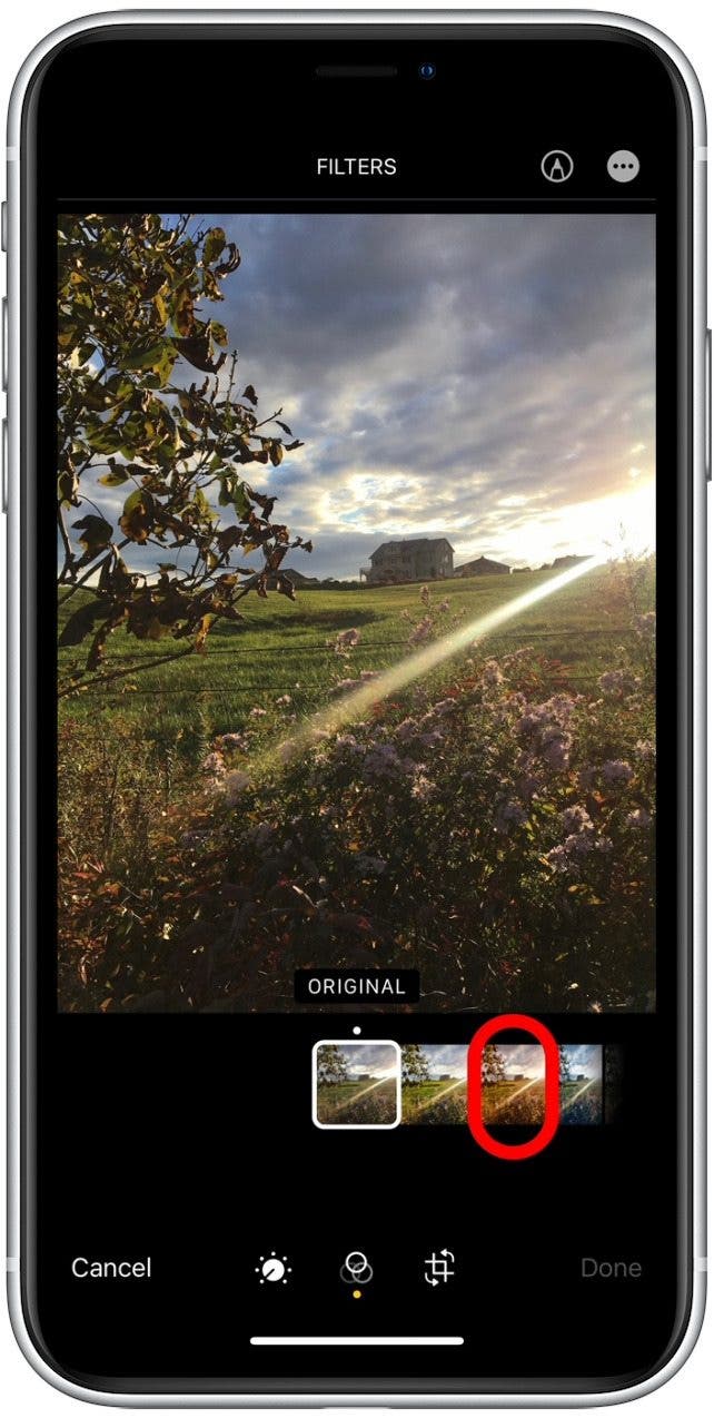 1641539326 750 So verwenden Sie Filter in der iPhone Fotos App iOS 15 Update