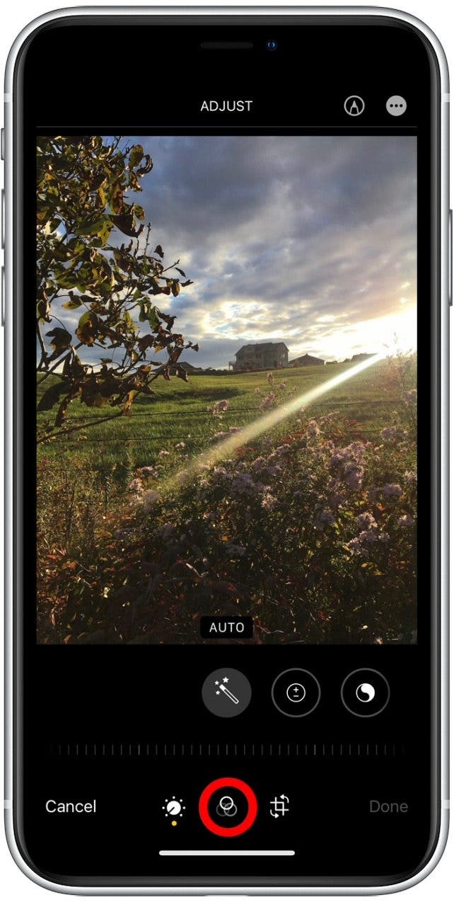 1641539326 97 So verwenden Sie Filter in der iPhone Fotos App iOS 15 Update