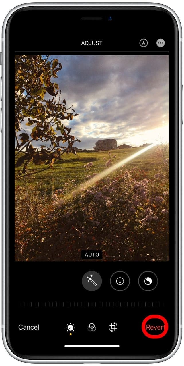 1641539327 104 So verwenden Sie Filter in der iPhone Fotos App iOS 15 Update