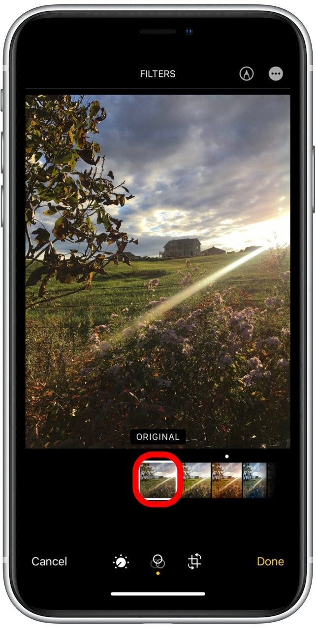1641539327 143 So verwenden Sie Filter in der iPhone Fotos App iOS 15 Update