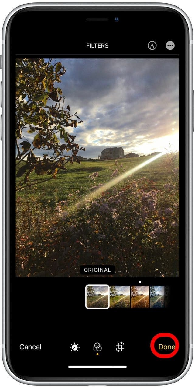 1641539327 221 So verwenden Sie Filter in der iPhone Fotos App iOS 15 Update
