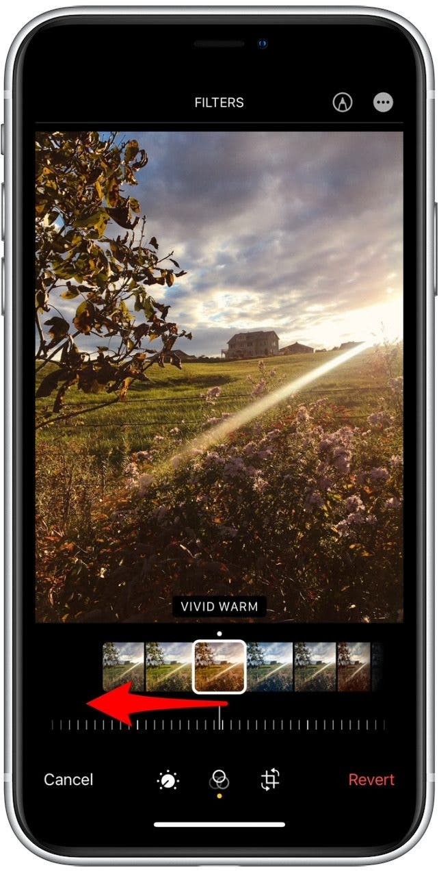 1641539327 82 So verwenden Sie Filter in der iPhone Fotos App iOS 15 Update