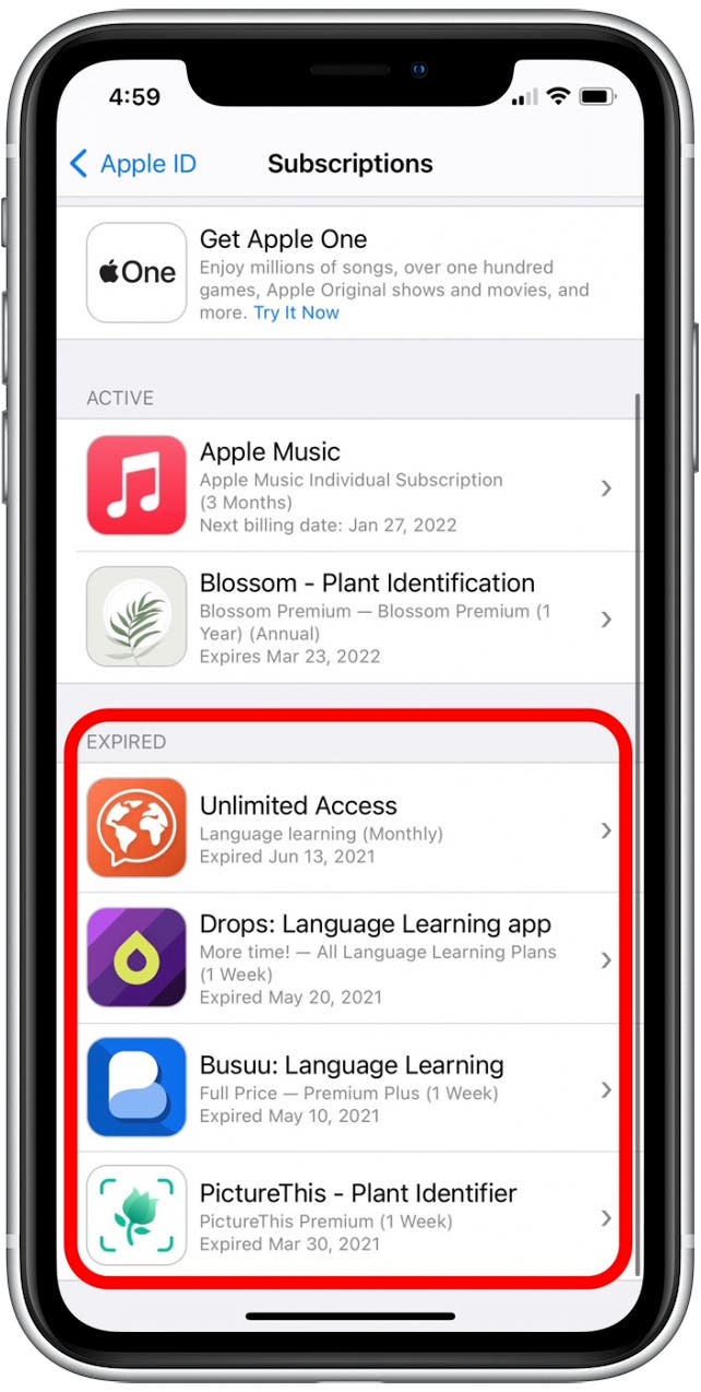 1642610453 238 So loeschen Sie abgelaufene Abonnements auf dem iPhone