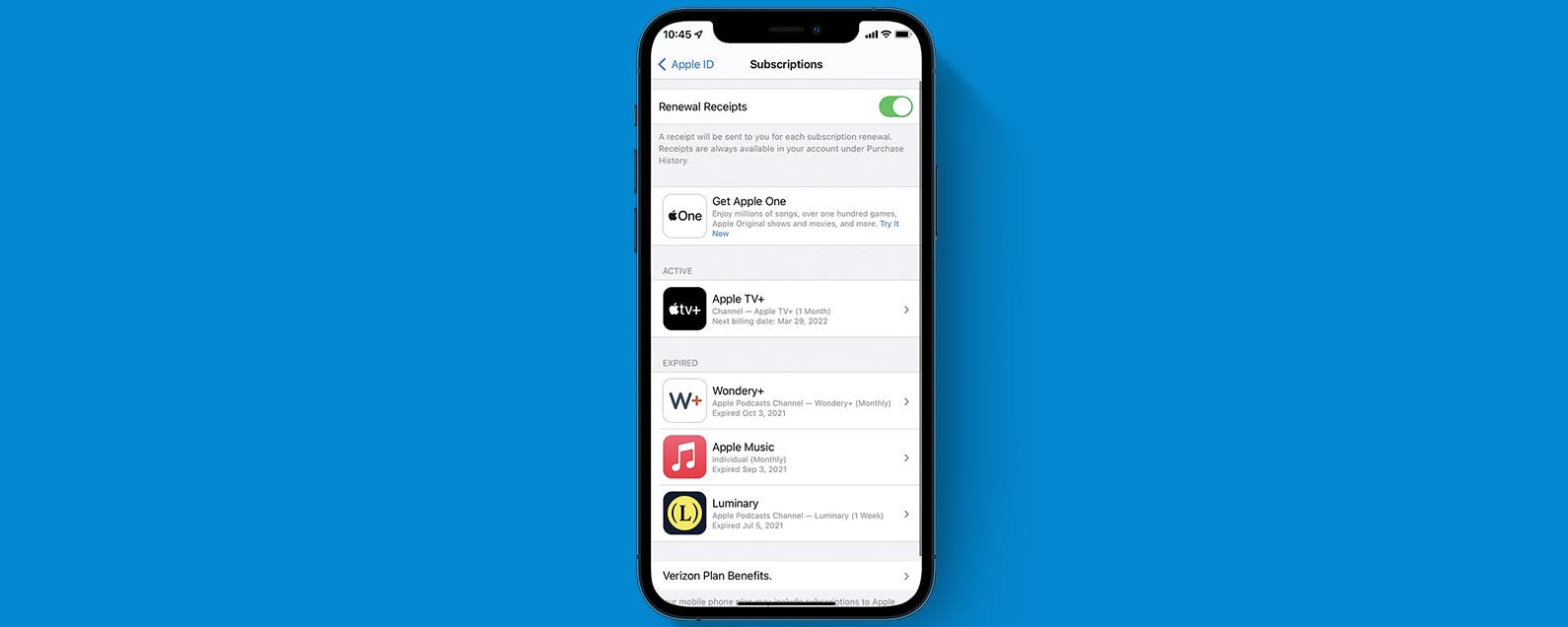 1642610453 So loeschen Sie abgelaufene Abonnements auf dem iPhone