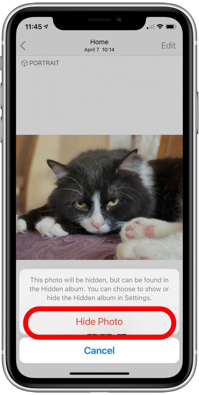 Geheime Fotos iPhone 04 Das Bestätigungsmenü zum Ausblenden von Fotos mit hervorgehobener Option zum Ausblenden