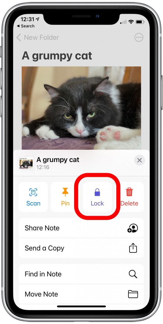 1645760925 564 So verbergen Sie Fotos auf Ihrem iPhone Update 2022