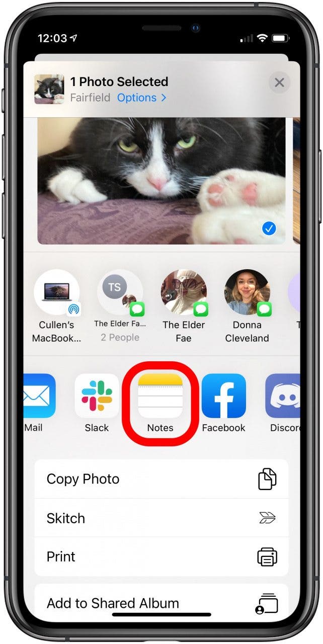 Fotos ausblenden iPhone: Das Fotofreigabemenü mit hervorgehobener Notizen-App