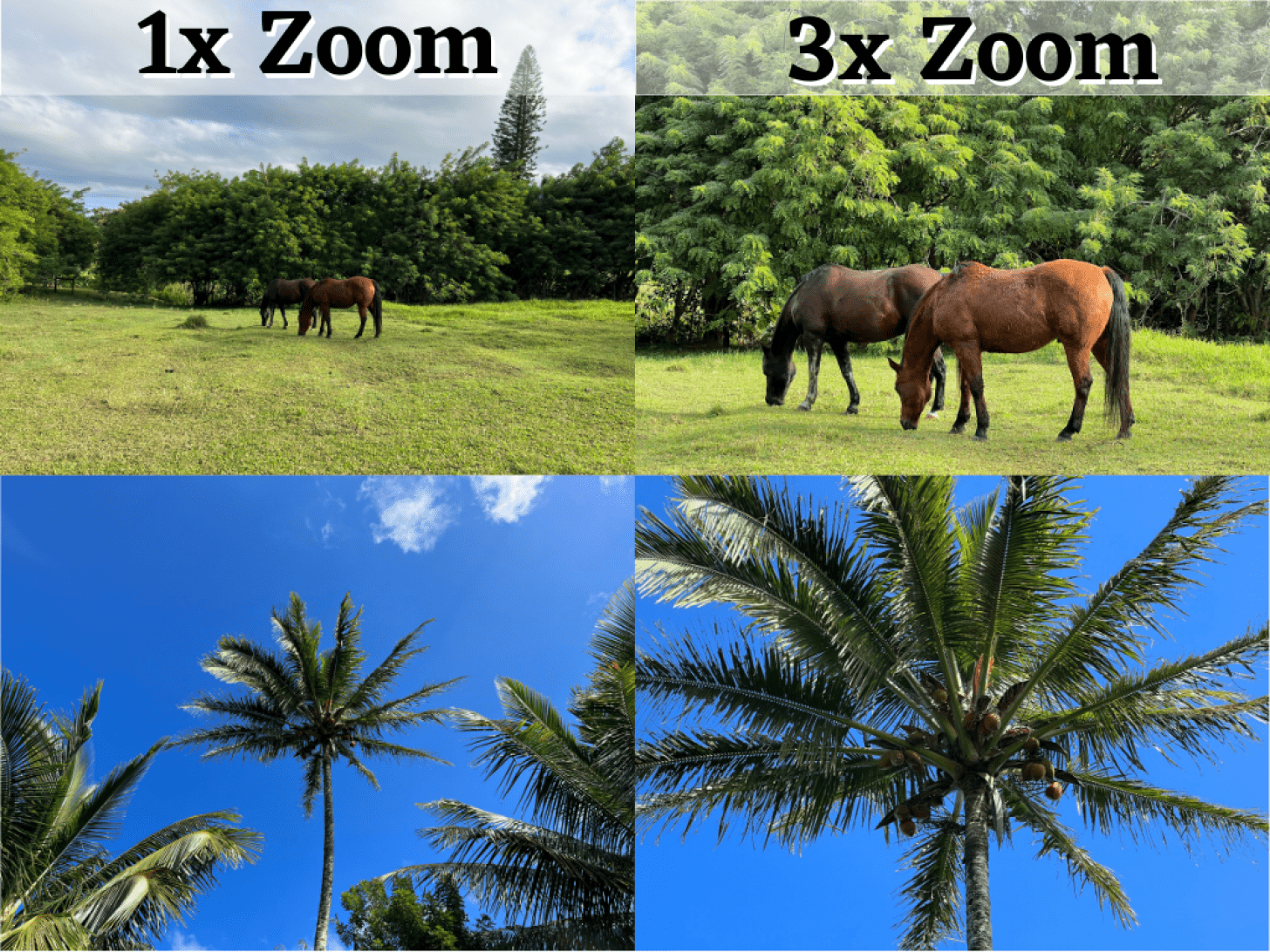 3-facher Zoom bedeutet – Digitalkamera-Vergrößerung vs. optischer Zoom