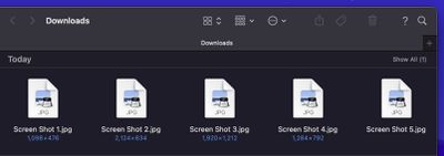 Finder