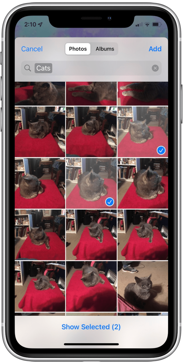 1652377689 888 So platzieren Sie 2 Bilder nebeneinander auf dem iPhone 2022