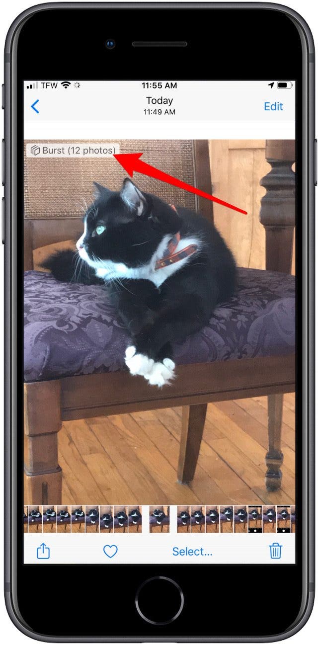 1654145287 37 Aufnehmen Anzeigen und Speichern von Serienfotos AKTUALISIERT fuer iPhone 11