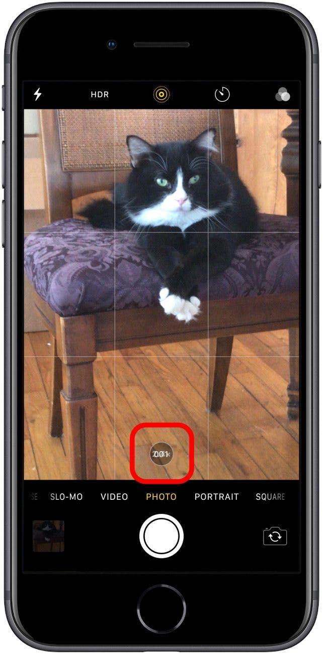 1654145287 565 Aufnehmen Anzeigen und Speichern von Serienfotos AKTUALISIERT fuer iPhone 11