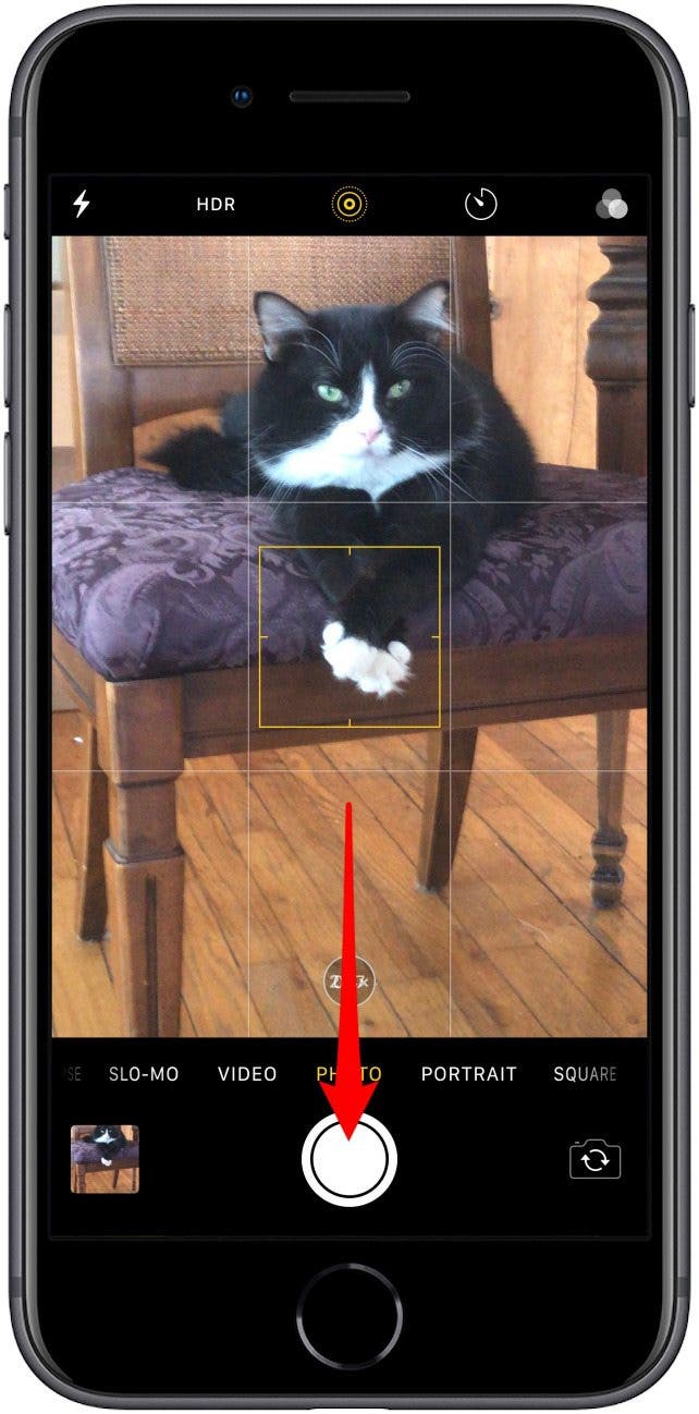 1654145287 808 Aufnehmen Anzeigen und Speichern von Serienfotos AKTUALISIERT fuer iPhone 11