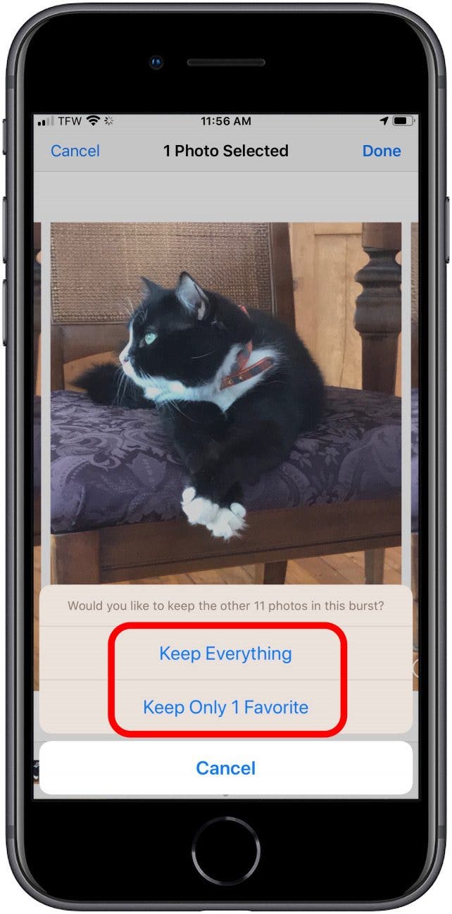 1654145287 817 Aufnehmen Anzeigen und Speichern von Serienfotos AKTUALISIERT fuer iPhone 11