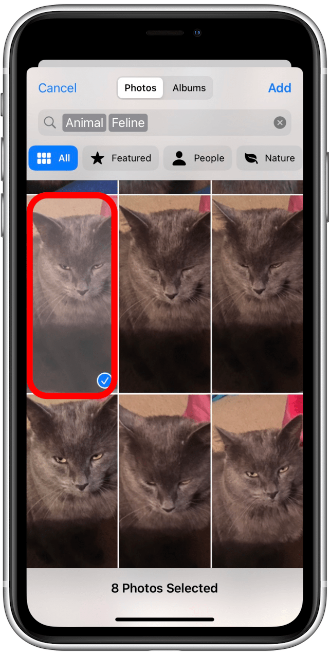 1661516653 450 So mischen Sie Sperrbildschirmbilder auf dem iPhone iOS 16