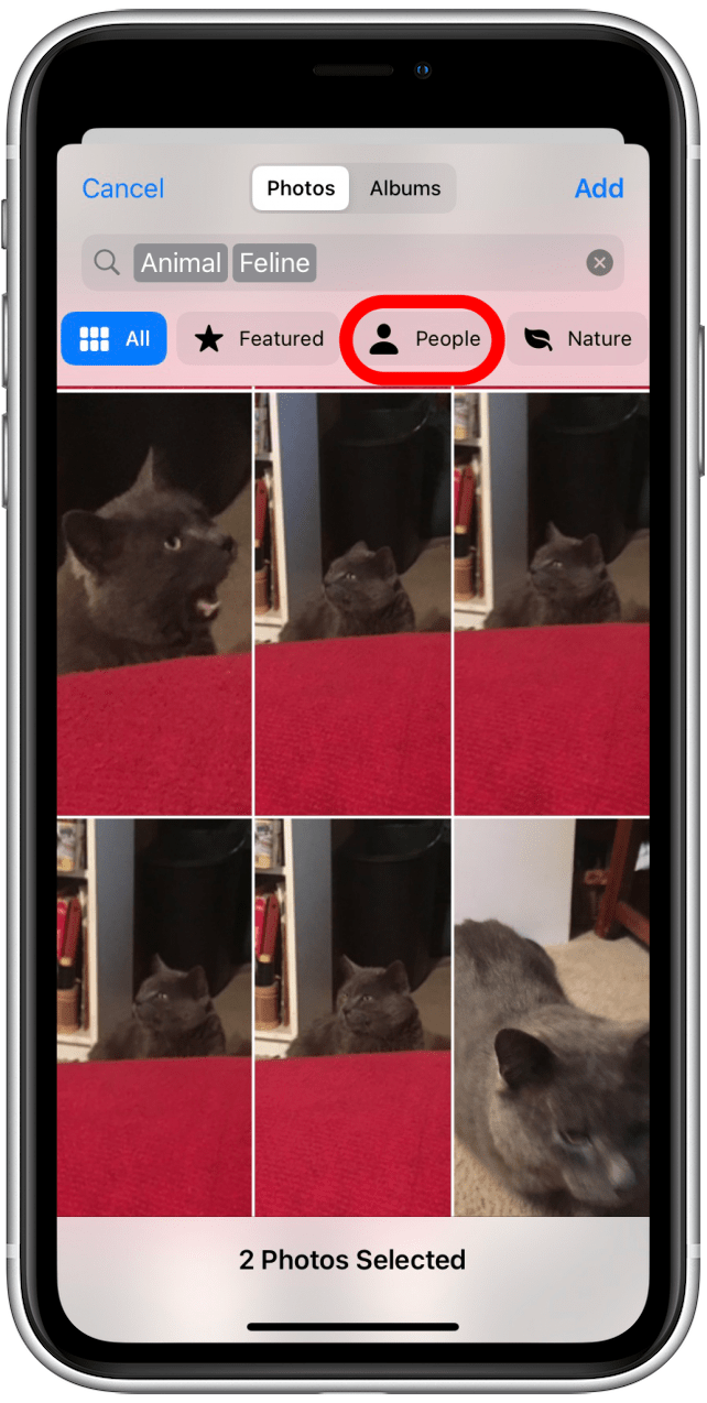 1661516653 480 So mischen Sie Sperrbildschirmbilder auf dem iPhone iOS 16
