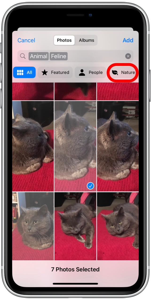 1661516653 588 So mischen Sie Sperrbildschirmbilder auf dem iPhone iOS 16
