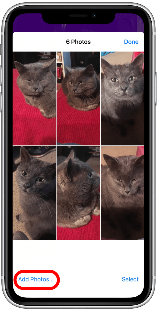1661516654 725 So mischen Sie Sperrbildschirmbilder auf dem iPhone iOS 16