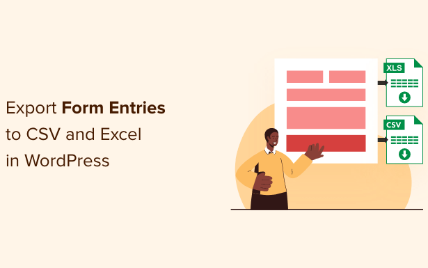 So exportieren Sie WordPress Formulareintraege in CSV und Excel