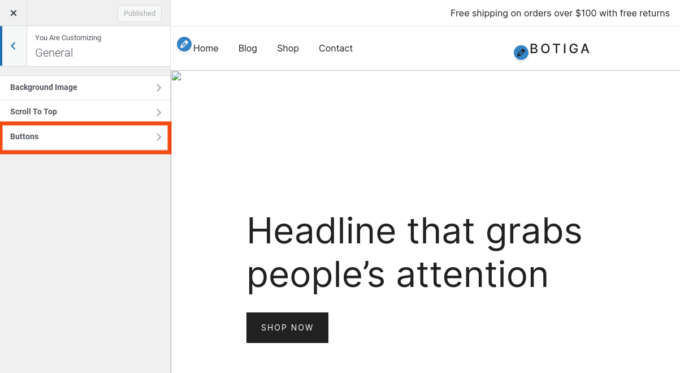 Die allgemeine Einstellungsoption im WordPress Customizer