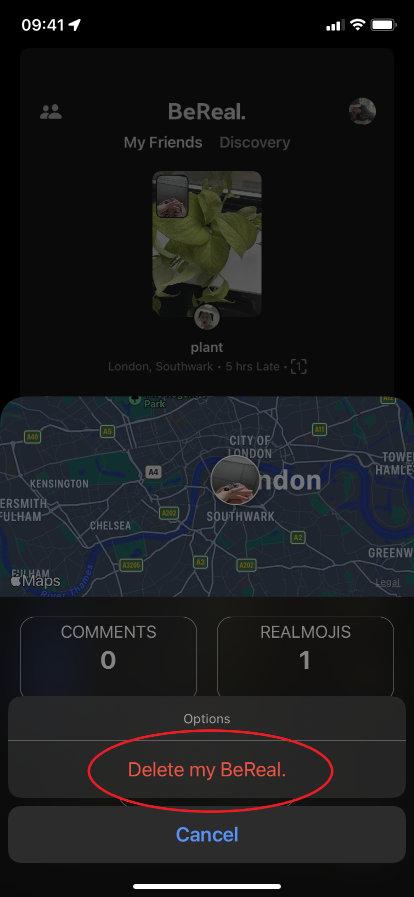 wie man einen bereal löscht
