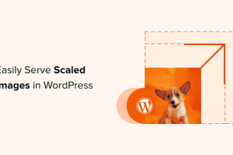 So stellen Sie skalierte Bilder in WordPress einfach bereit Schritt