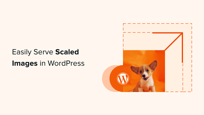 So stellen Sie skalierte Bilder in WordPress einfach bereit Schritt