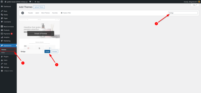 Kommentierter Screenshot, der zeigt, wie man das kostenlose Botiga-Theme im WordPress-Administrationsbereich installiert
