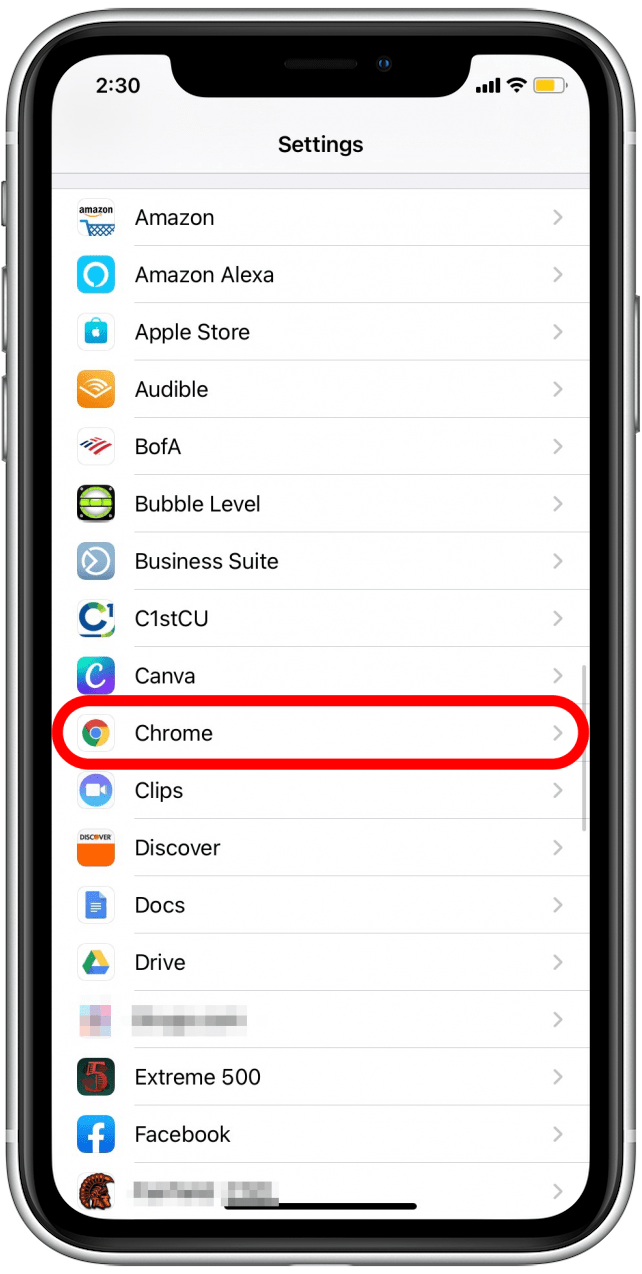Tippen Sie auf die Browser-App, die Sie als Standard festlegen möchten.  Ich habe Google Chrome als meinen Standardbrowser ausgewählt.