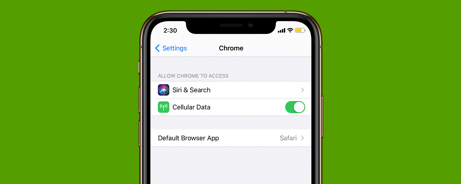 1704286152 So aendern Sie den Standard Webbrowser auf Ihrem iPhone