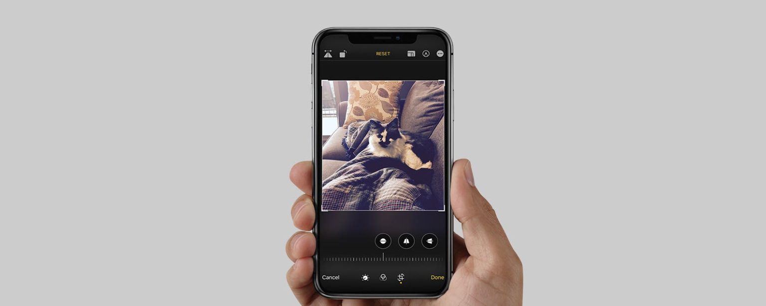 1705469116 So schneiden Sie ein Bild auf dem iPhone und iPad
