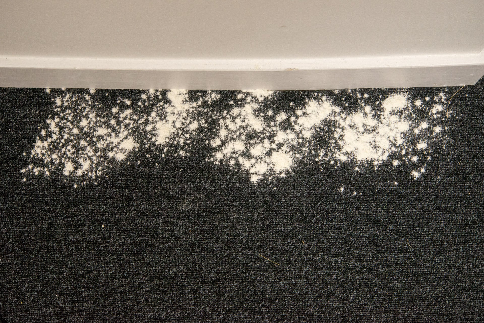 Hoover HFX Pets Kantentest verschmutzt