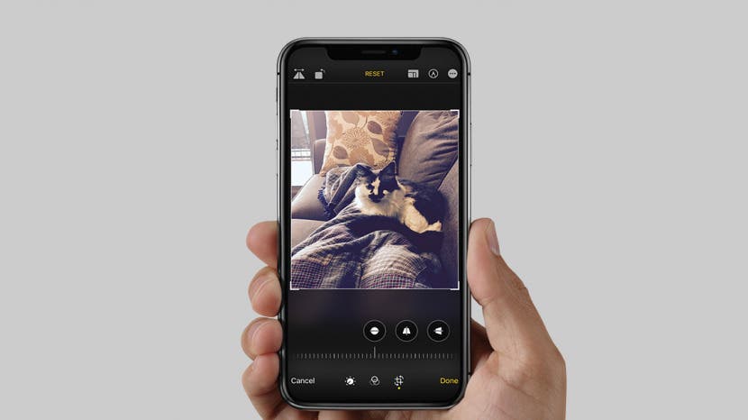 So schneiden Sie ein Bild auf dem iPhone und iPad