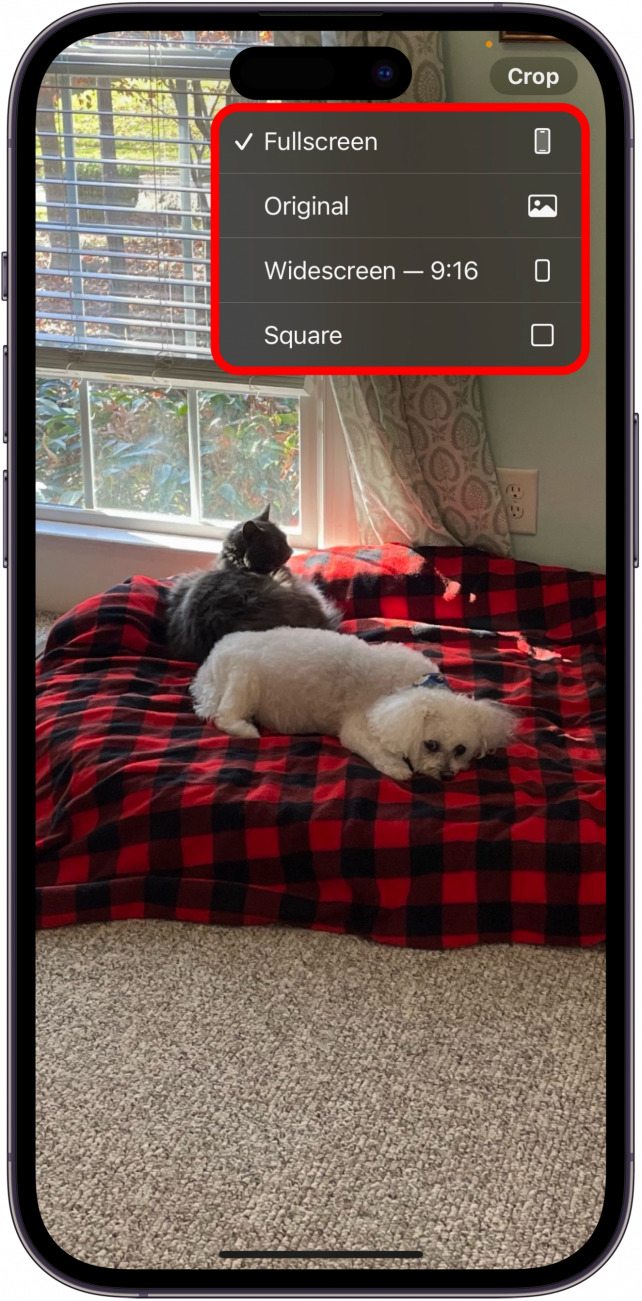 Schneiden Sie ein Foto schnell in der Foto-App zu