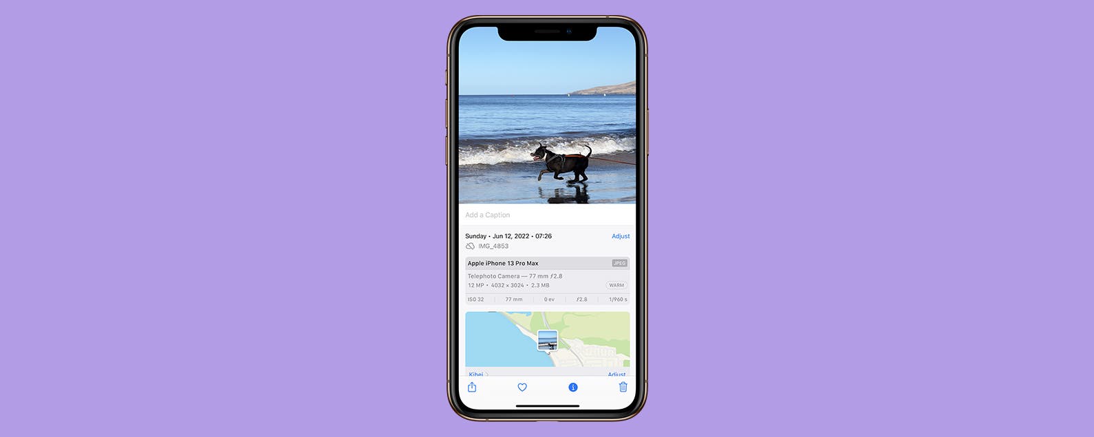 1707283535 Kamera iPhone Objektiv Leitfaden Wann welches Objektiv verwenden