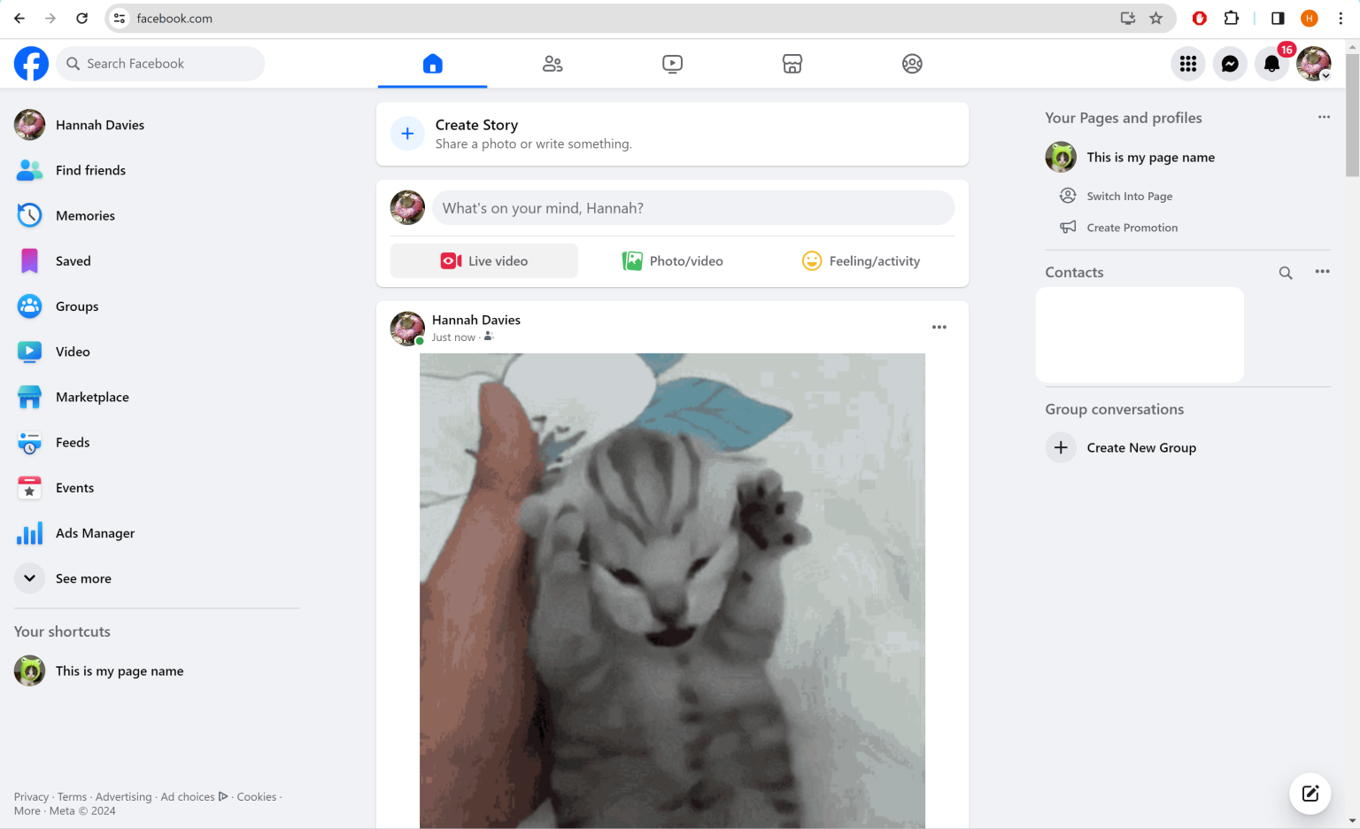1707894029 So posten Sie ein GIF auf Facebook