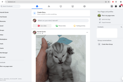 1707894029 So posten Sie ein GIF auf Facebook