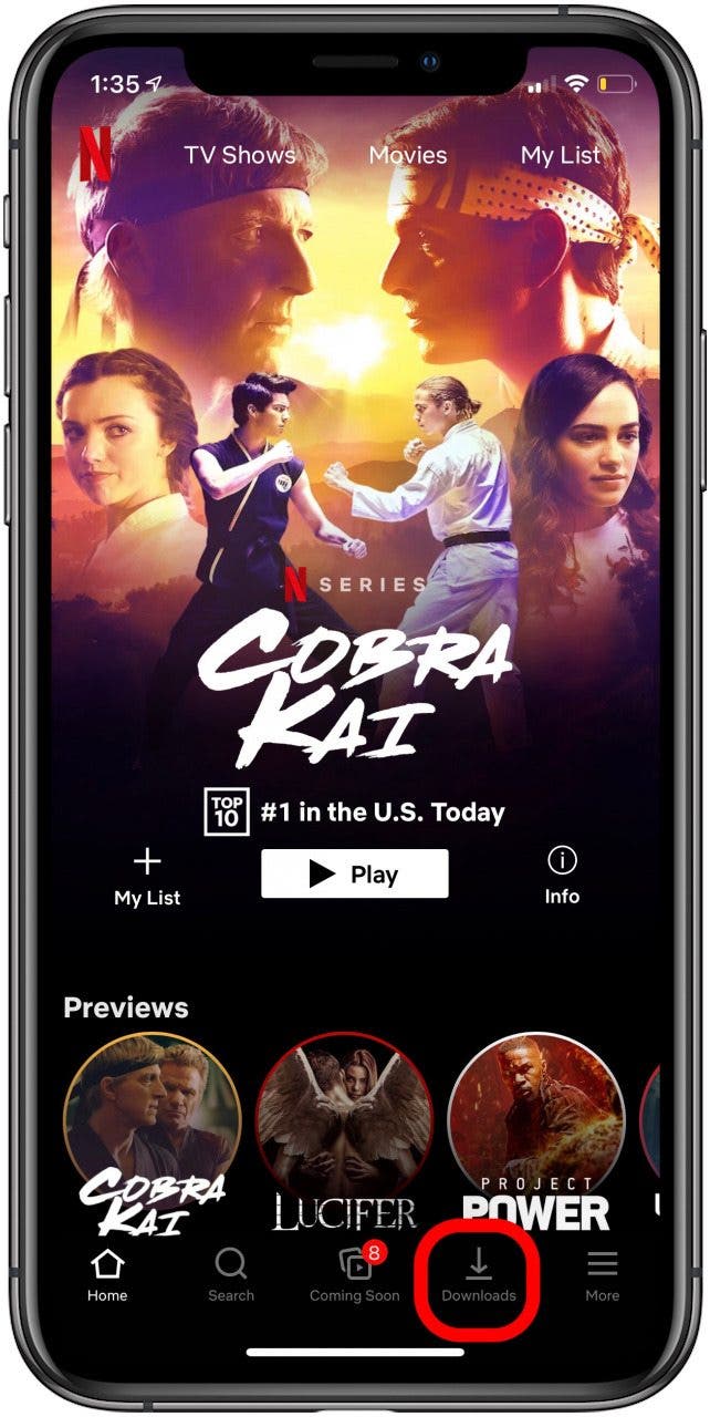 Netflix-Downloads