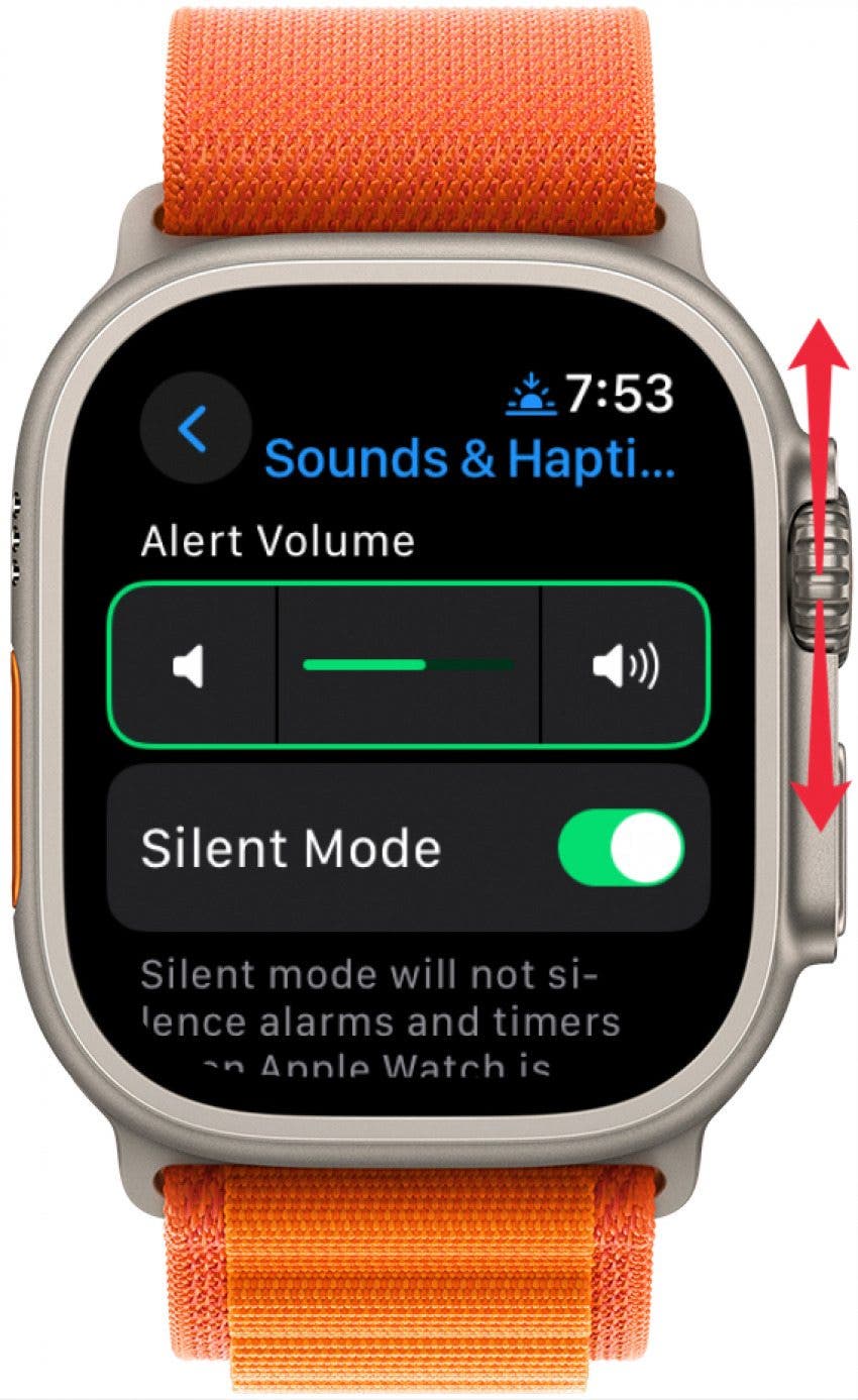 Lautstärke Apple Watch