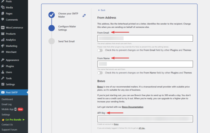 Einstellungen der Brevo-API im Setup-Assistenten des Post-SMTP-Plugins