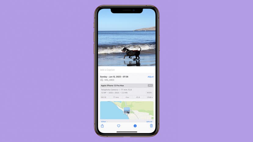 Kamera iPhone Objektiv Leitfaden Wann welches Objektiv verwenden