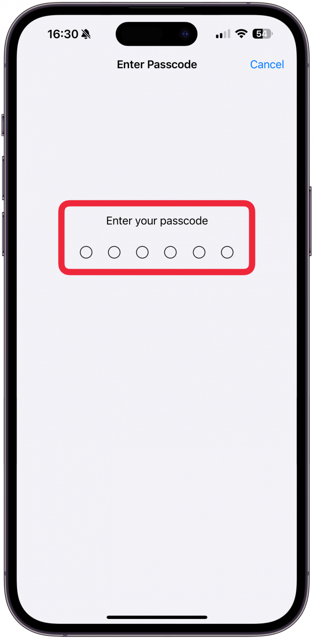 Sie müssen Ihren Passcode eingeben und allen anderen Anweisungen auf dem Bildschirm folgen, um den Rücksetzvorgang abzuschließen.